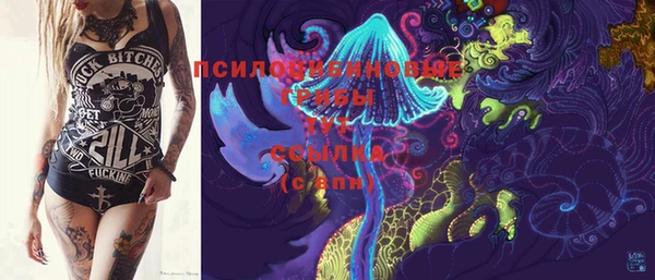 дмт Алзамай