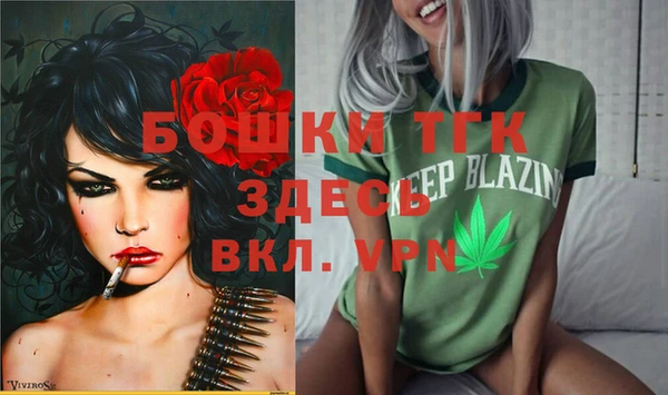 дмт Алексеевка