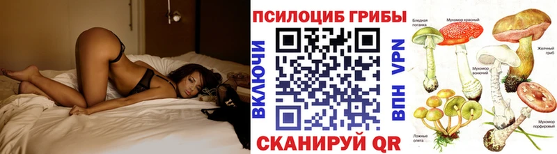 Галлюциногенные грибы Psilocybine cubensis  купить   Куртамыш 